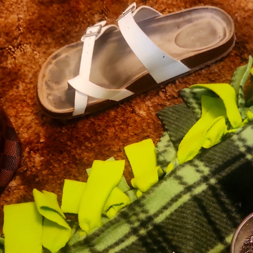 Sandles
